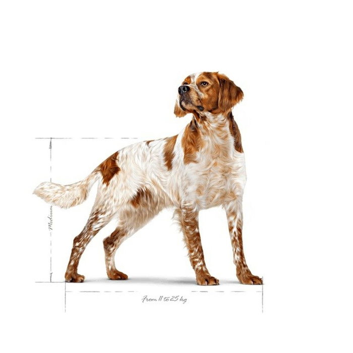 Royal Canin Nourriture Oiseaux 12 kg