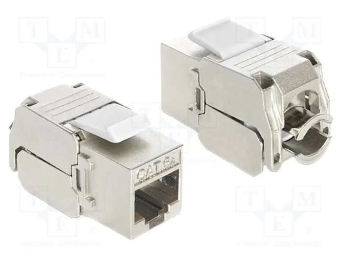 DELOCK Module RJ45 Keystone Cat 6a Argent DELOCK Module RJ45 Keystone Cat 6a Argent
