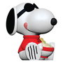 Peanuts + Rokimoto assortiment figurines Blind Box 10 cm (12)