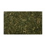 PLAMECA Herbe d'ortie verte broyée 1 kg