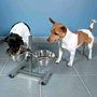 Trixie Bar à chien avec 2 écuelles en acier inoxydable de 0,75 l