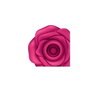 Satisfyer Pro 2 Classic Blossom Rose