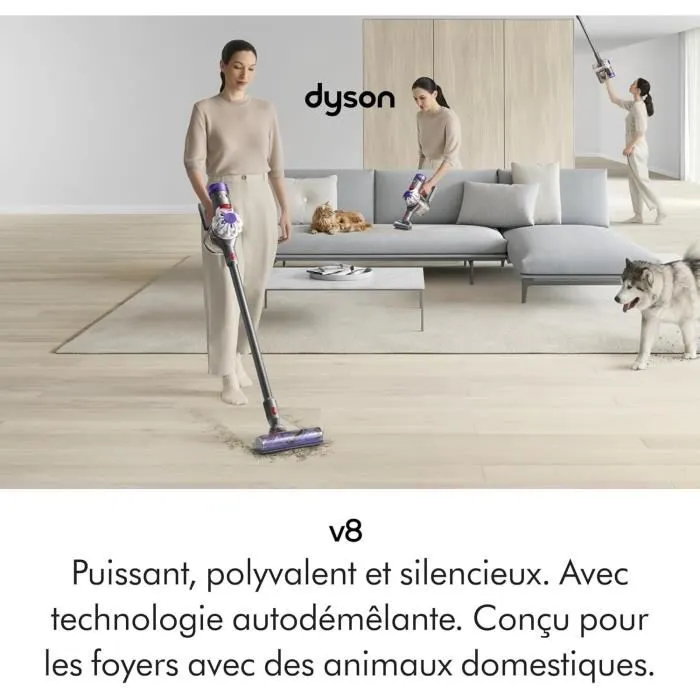 Aspirateur à main Dyson 492636-01