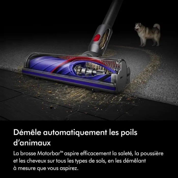 Aspirateur à main Dyson 492636-01