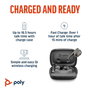 Poly Voyager Free 60 UC Écouteurs Bluetooth ANC Noir Charbon avec Adaptateur USB-C BT700 et Étui de Charge
