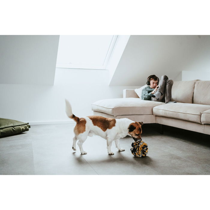 Jouet pour chien Hunter Jouet pour chien Hunter