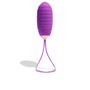 Platanomelón Vibromasseur Œuf Vibrant Lila - Usage Vaginal avec Télécommande et 10 Niveaux de Vibrations