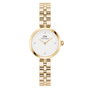 Daniel Wellington DW00100715 Doré