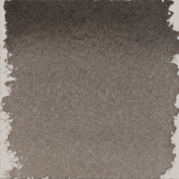 Talens | Pantone Encre de recharge pour marqueur Warm Gray 10 30 ml