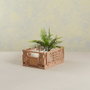 Day Boîte de rangement pliante 33 x 24,5 x 15 cm couleur sable 3,3 L max 10 kg