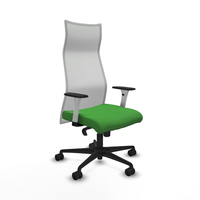 Piqueras y Crespo Chaise de Bureau Albacete Vert et Blanc Piqueras y Crespo Chaise de Bureau Albacete Vert et Blanc