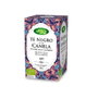 ARTEMIS BIO Thé Noir à la Cannelle, 20 sachets