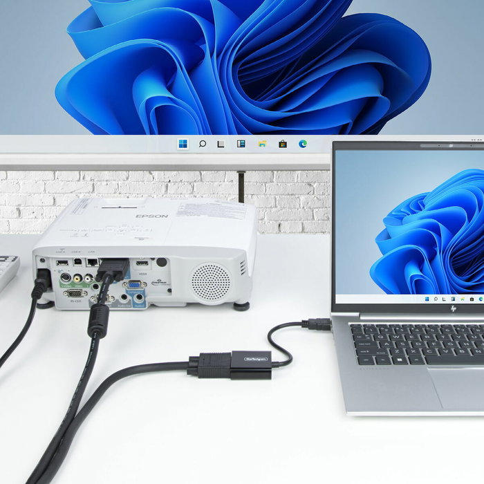 Câble VGA Startech HD2VGAE3 Câble VGA Startech HD2VGAE3