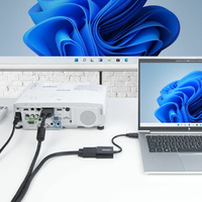 Câble VGA Startech HD2VGAE3 Câble VGA Startech HD2VGAE3