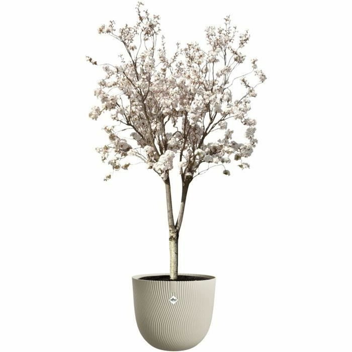 ELHO Sereh Rond 47 Beige ELHO Sereh Rond 47 Beige