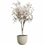 ELHO Sereh Rond 47 Beige