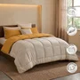 Toison D'Or HUDSON Couette Légère Microfibre Miel & Galet 220 x 240