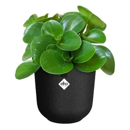 Elho Pot de fleurs Jazz Rond - Noir - Diamètre 26 x Hauteur 24 cm - Intérieur - 100% recyclé, étanche avec système auto-arrosage