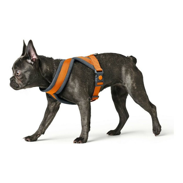 Harnais pour Chien Hunter London Comfort 48-56 cm Orange Taille S/M Harnais pour Chien Hunter London Comfort 48-56 cm Orange Taille S/M