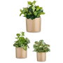 IBERGARDEN Set de 3 Maceteros en Céramique Cylindriques Beige