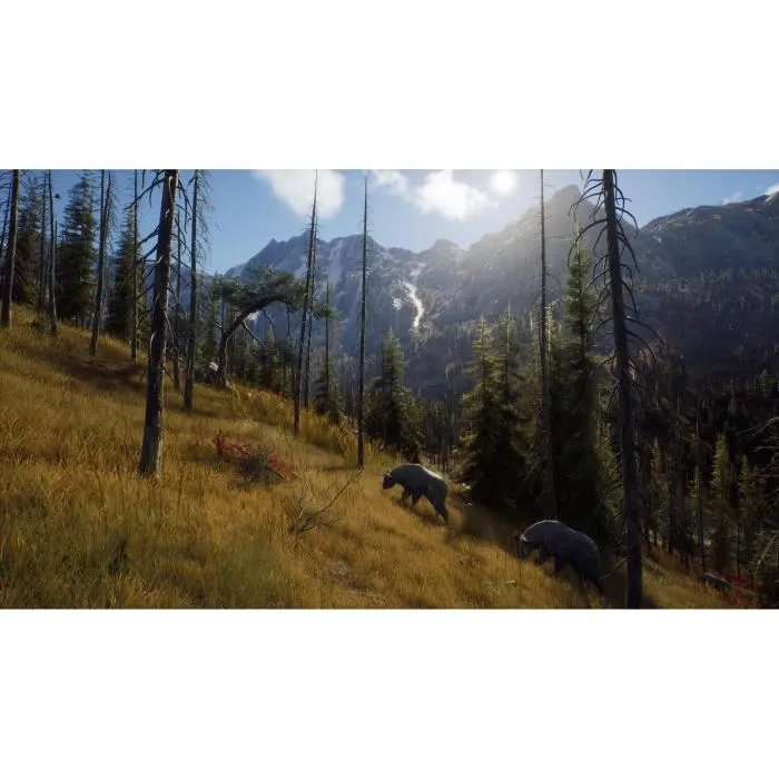 Way of the Hunter Wild Expeditions Jeu Xbox Series X