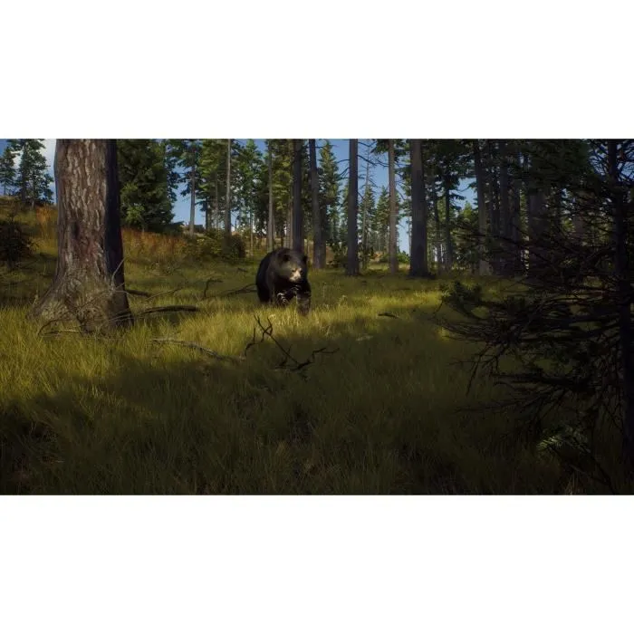 Way of the Hunter Wild Expeditions Jeu Xbox Series X