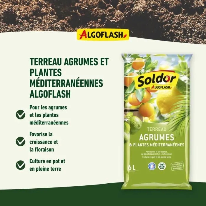 Algoflash Terreau pour Agrumes et Plantes Méditerranéennes 6 L - Agriculture Biologique