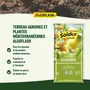 Algoflash Terreau pour Agrumes et Plantes Méditerranéennes 6 L - Agriculture Biologique