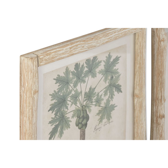 Home ESPRIT Cadre Verre Sapin 40 x 3,5 x 50 cm (2 Unités)