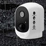 Asus 90SKC000-M8VAN0 8 GB GDDR6