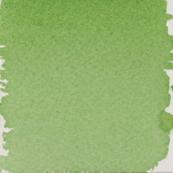 Talens | Pantone Encre pour marqueur 30 ml 366