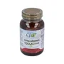 CFN Hyaluronic Collactive 60 capsules