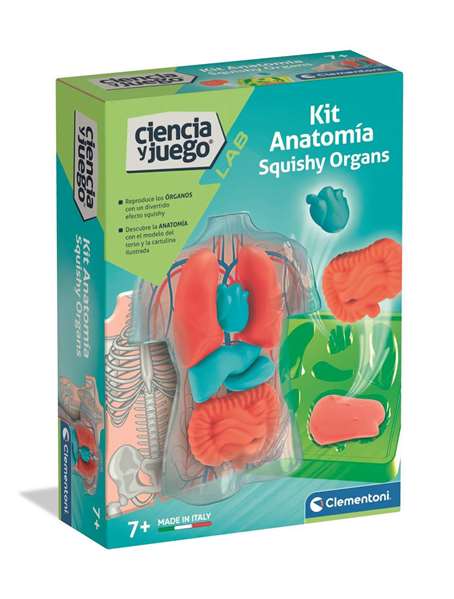 Clementoni - Kit d'anatomie squishy avec organes - Jeu éducatif - Dimensions 21x15x5.5 cm - À partir de 7 ans - Multilingue Clementoni - Kit d'anatomie squishy avec organes - Jeu éducatif - Dimensions 21x15x5.5 cm - À partir de 7 ans - Multilingue