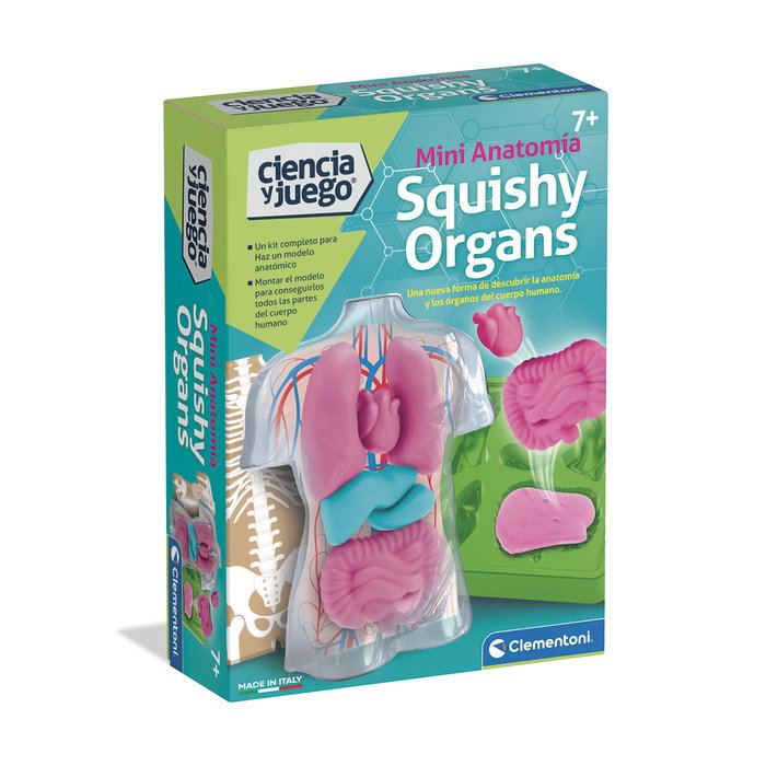 Clementoni Kit Anatomie Squishy et Organes Clementoni Kit Anatomie Squishy et Organes