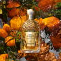 Guerlain Aqua Allegoria Mandarine Basilic Forte edp vapo 75 ml - Eau de Parfum Femme