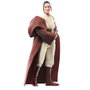 Hasbro Star Wars The Black Series - Maître Jedi Indara 15 cm