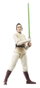 Hasbro Star Wars The Black Series - Maître Jedi Indara 15 cm