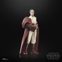Hasbro Star Wars The Black Series - Maître Jedi Indara 15 cm