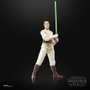 Hasbro Star Wars The Black Series - Maître Jedi Indara 15 cm