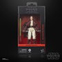 Hasbro Star Wars The Black Series - Maître Jedi Indara 15 cm