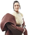 Hasbro Star Wars The Black Series - Maître Jedi Indara 15 cm
