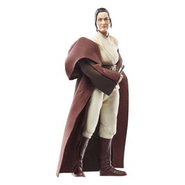 Hasbro Star Wars The Black Series - Maître Jedi Indara 15 cm