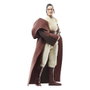 Hasbro Star Wars The Black Series - Maître Jedi Indara 15 cm