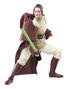 Hasbro Star Wars The Black Series - Maître Jedi Indara 15 cm