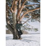 Olympus 12x50 EXPS I