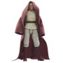 Hasbro Star Wars The Acolyte The Vintage Collection Jedi Master Indara