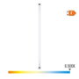 Philips Tube LED T8 19,5 W 2000 lm 1500 mm G13 6500 K lumière froide