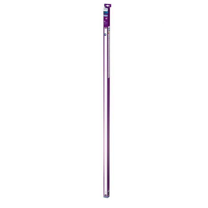 Philips Tube LED T8 19,5 W 2000 lm 1500 mm G13 6500 K lumière froide