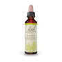 Bach Original White Chestnut 20 ml