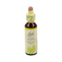 Bach Original White Chestnut 20 ml